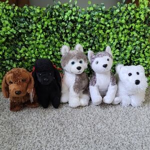 Five Dog Beanie Babies | Ty